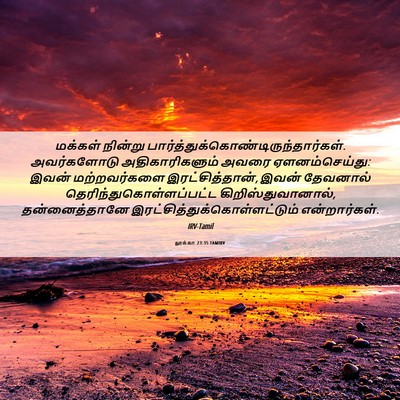 Picture 06 - லூக்கா 23:35 TAMIRV - மக்கள் நின்று - Bible Verse Picture