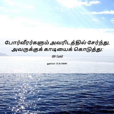 Picture 06 - லூக்கா 23:36 TAMIRV - போர்வீரர்களும் - Bible Verse Picture