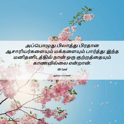 Picture 06 - லூக்கா 23:4 TAMIRV - அப்பொழுது - Bible Verse Picture