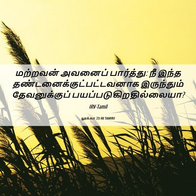 Picture 06 - லூக்கா 23:40 TAMIRV - மற்றவன் அவனைப் - Bible Verse Picture