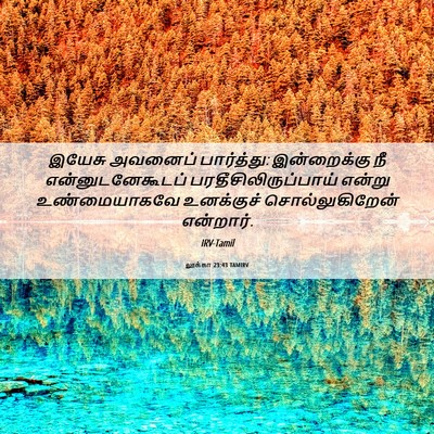 Picture 06 - லூக்கா 23:43 TAMIRV - இயேசு அவனைப் - Bible Verse Picture