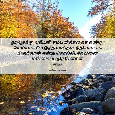 Picture 06 - லூக்கா 23:47 TAMIRV - நூற்றுக்கு அதிபதி - Bible Verse Picture