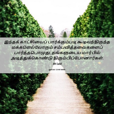 Picture 06 - லூக்கா 23:48 TAMIRV - இந்தக் காட்சியைப் - Bible Verse Picture