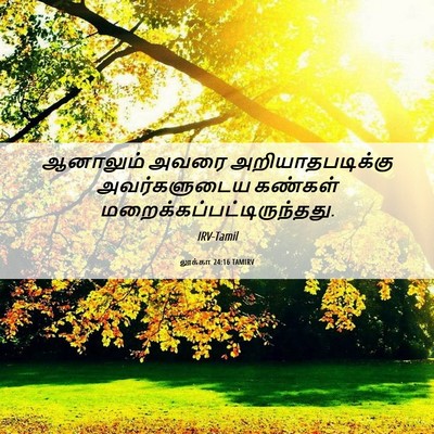 Picture 06 - லூக்கா 24:16 TAMIRV - ஆனாலும் அவரை - Bible Verse Picture