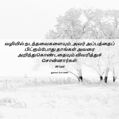 Picture 06 - லூக்கா 24:35 TAMIRV - வழியில் - Bible Verse Picture
