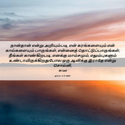 Picture 06 - லூக்கா 24:39 TAMIRV - நான்தான் என்று - Bible Verse Picture