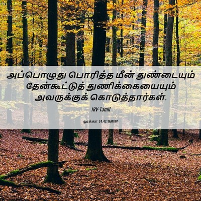 Picture 06 - லூக்கா 24:42 TAMIRV - அப்பொழுது பொரித்த - Bible Verse Picture