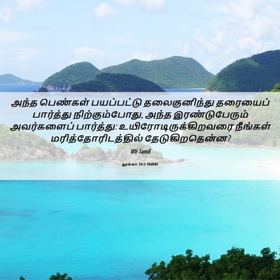 Picture 06 - லூக்கா 24:5 TAMIRV - அந்த பெண்கள் - Bible Verse Picture