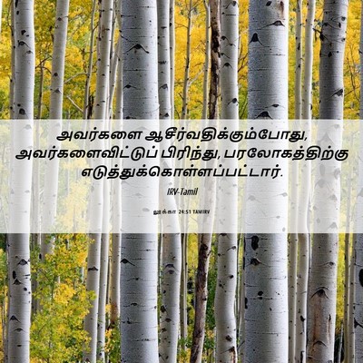 Picture 06 - லூக்கா 24:51 TAMIRV - அவர்களை - Bible Verse Picture