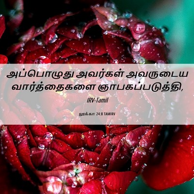 Picture 06 - லூக்கா 24:8 TAMIRV - அப்பொழுது அவர்கள் - Bible Verse Picture