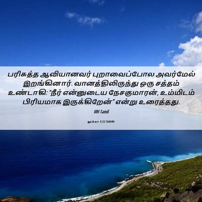 Picture 06 - லூக்கா 3:22 TAMIRV - பரிசுத்த - Bible Verse Picture