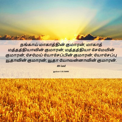 Picture 06 - லூக்கா 3:26 TAMIRV - நங்காய் - Bible Verse Picture