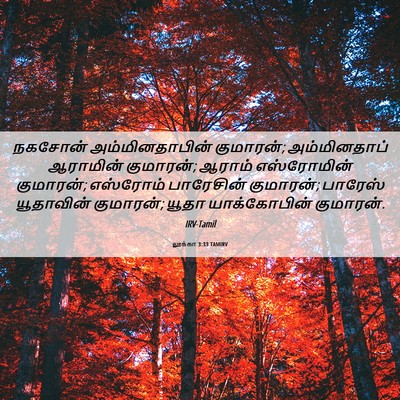 Picture 06 - லூக்கா 3:33 TAMIRV - நகசோன் - Bible Verse Picture