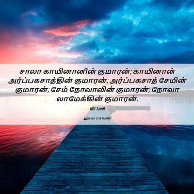 Picture 06 - லூக்கா 3:36 TAMIRV - சாலா காயினானின் - Bible Verse Picture