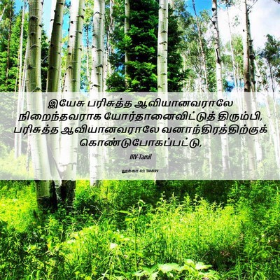 Picture 06 - லூக்கா 4:1 TAMIRV - இயேசு பரிசுத்த - Bible Verse Picture