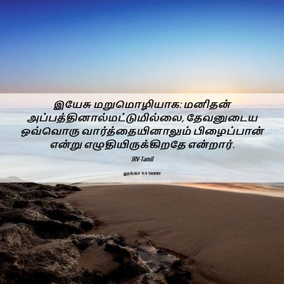 Picture 06 - லூக்கா 4:4 TAMIRV - இயேசு மறுமொழியாக: - Bible Verse Picture