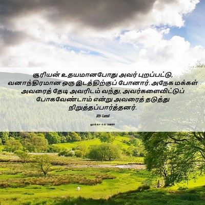 Picture 06 - லூக்கா 4:42 TAMIRV - சூரியன் - Bible Verse Picture