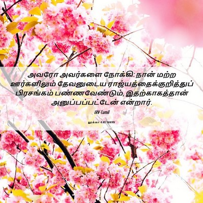 Picture 06 - லூக்கா 4:43 TAMIRV - அவரோ அவர்களை - Bible Verse Picture