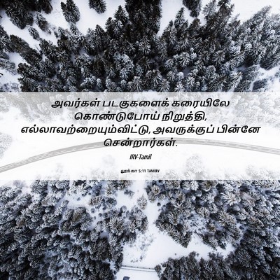 Picture 06 - லூக்கா 5:11 TAMIRV - அவர்கள் படகுகளைக் - Bible Verse Picture