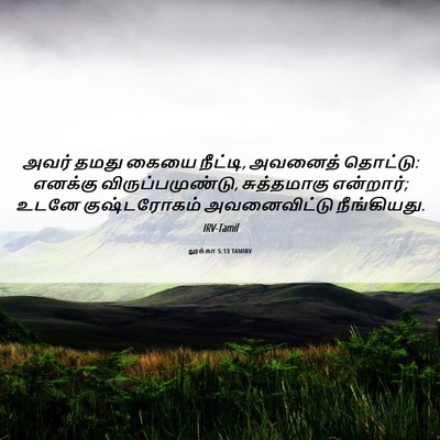 Picture 06 - லூக்கா 5:13 TAMIRV - அவர் தமது கையை - Bible Verse Picture