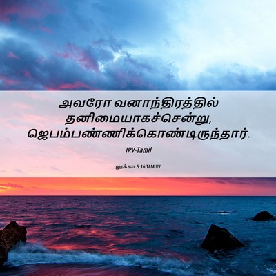 Picture 06 - லூக்கா 5:16 TAMIRV - அவரோ - Bible Verse Picture