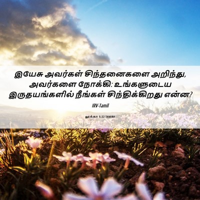 Picture 06 - லூக்கா 5:22 TAMIRV - இயேசு அவர்கள் - Bible Verse Picture