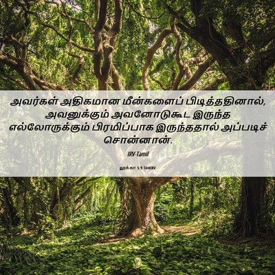 Picture 06 - லூக்கா 5:9 TAMIRV - அவர்கள் அதிகமான - Bible Verse Picture