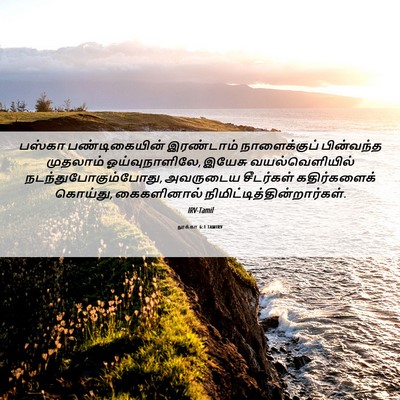 Picture 06 - லூக்கா 6:1 TAMIRV - பஸ்கா பண்டிகையின் - Bible Verse Picture