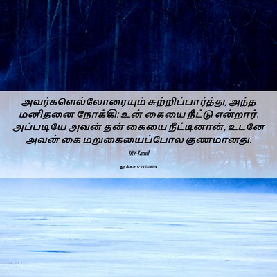 Picture 06 - லூக்கா 6:10 TAMIRV -  - Bible Verse Picture