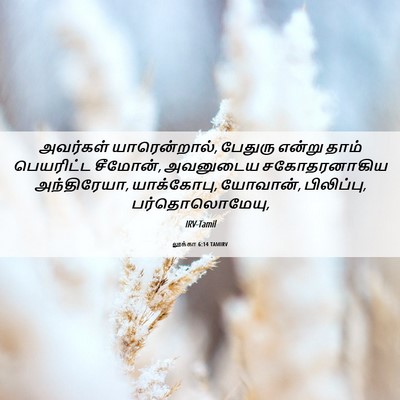 Picture 06 - லூக்கா 6:14 TAMIRV - அவர்கள் - Bible Verse Picture