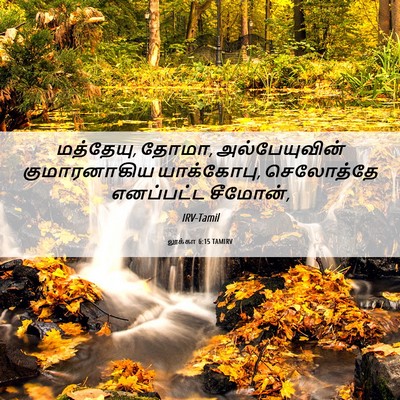 Picture 06 - லூக்கா 6:15 TAMIRV - மத்தேயு, தோமா, - Bible Verse Picture