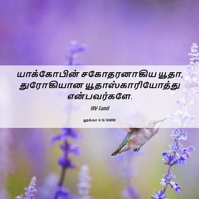 Picture 06 - லூக்கா 6:16 TAMIRV - யாக்கோபின் - Bible Verse Picture