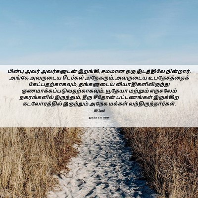 Picture 06 - லூக்கா 6:17 TAMIRV - பின்பு அவர் - Bible Verse Picture