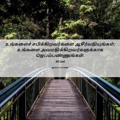 Picture 06 - லூக்கா 6:28 TAMIRV - உங்களைச் - Bible Verse Picture