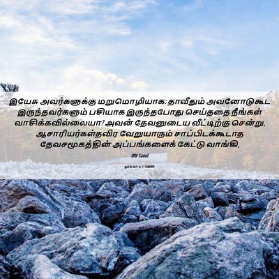 Picture 06 - லூக்கா 6:3 TAMIRV - இயேசு அவர்களுக்கு - Bible Verse Picture
