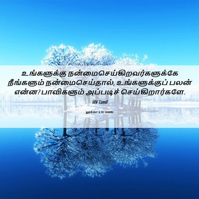 Picture 06 - லூக்கா 6:33 TAMIRV - உங்களுக்கு - Bible Verse Picture