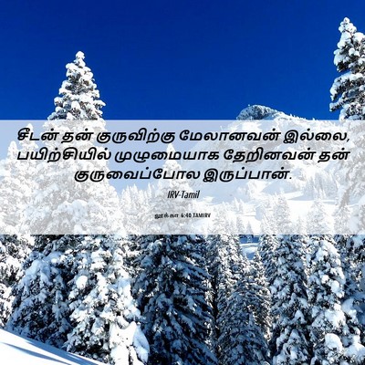 Picture 06 - லூக்கா 6:40 TAMIRV - சீடன் தன் - Bible Verse Picture