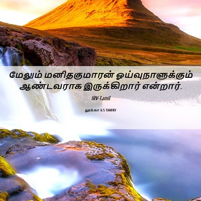 Picture 06 - லூக்கா 6:5 TAMIRV - மேலும் - Bible Verse Picture