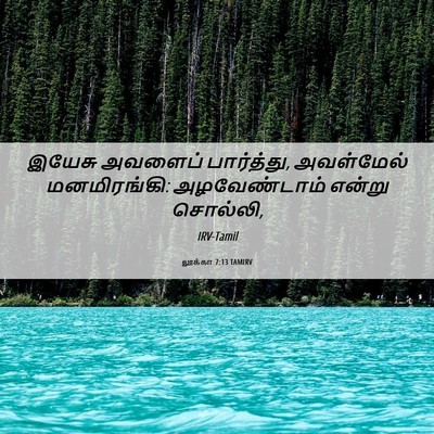 Picture 06 - லூக்கா 7:13 TAMIRV - இயேசு அவளைப் - Bible Verse Picture