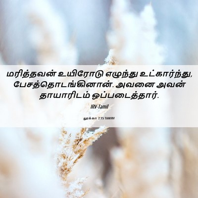 Picture 06 - லூக்கா 7:15 TAMIRV - மரித்தவன் உயிரோடு - Bible Verse Picture