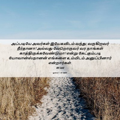 Picture 06 - லூக்கா 7:20 TAMIRV - அப்படியே அவர்கள் - Bible Verse Picture