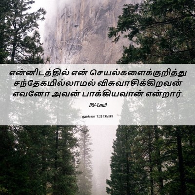Picture 06 - லூக்கா 7:23 TAMIRV - என்னிடத்தில் என் - Bible Verse Picture