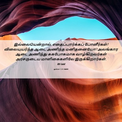 Picture 06 - லூக்கா 7:25 TAMIRV - இல்லையென்றால், - Bible Verse Picture