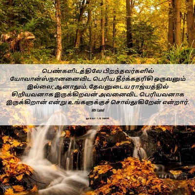 Picture 06 - லூக்கா 7:28 TAMIRV - பெண்களிடத்திலே - Bible Verse Picture