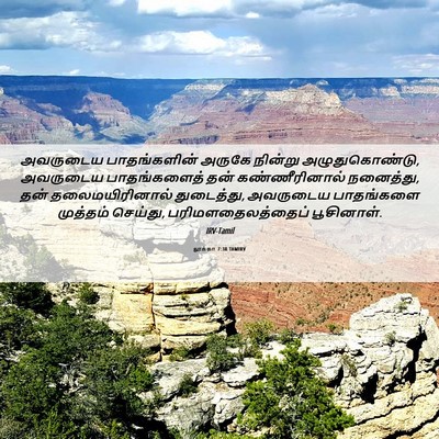 Picture 06 - லூக்கா 7:38 TAMIRV - அவருடைய - Bible Verse Picture