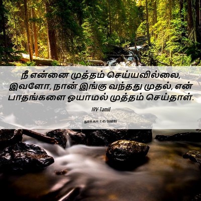 Picture 06 - லூக்கா 7:45 TAMIRV - நீ என்னை முத்தம் - Bible Verse Picture
