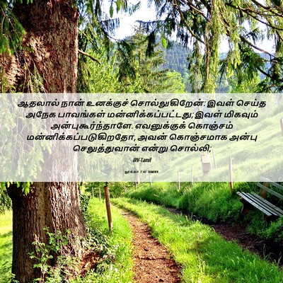 Picture 06 - லூக்கா 7:47 TAMIRV - ஆதலால் நான் - Bible Verse Picture