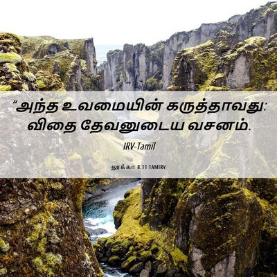 Picture 06 - லூக்கா 8:11 TAMIRV - “அந்த உவமையின் - Bible Verse Picture