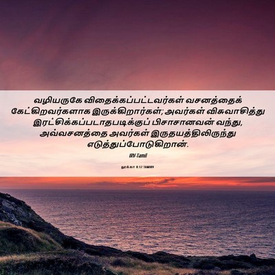 Picture 06 - லூக்கா 8:12 TAMIRV - வழியருகே - Bible Verse Picture