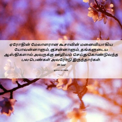 Picture 06 - லூக்கா 8:3 TAMIRV - ஏரோதின் மேலாளரான - Bible Verse Picture